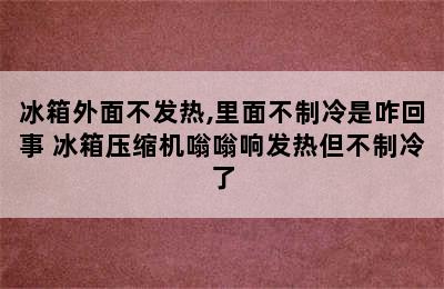 冰箱外面不发热,里面不制冷是咋回事 冰箱压缩机嗡嗡响发热但不制冷了